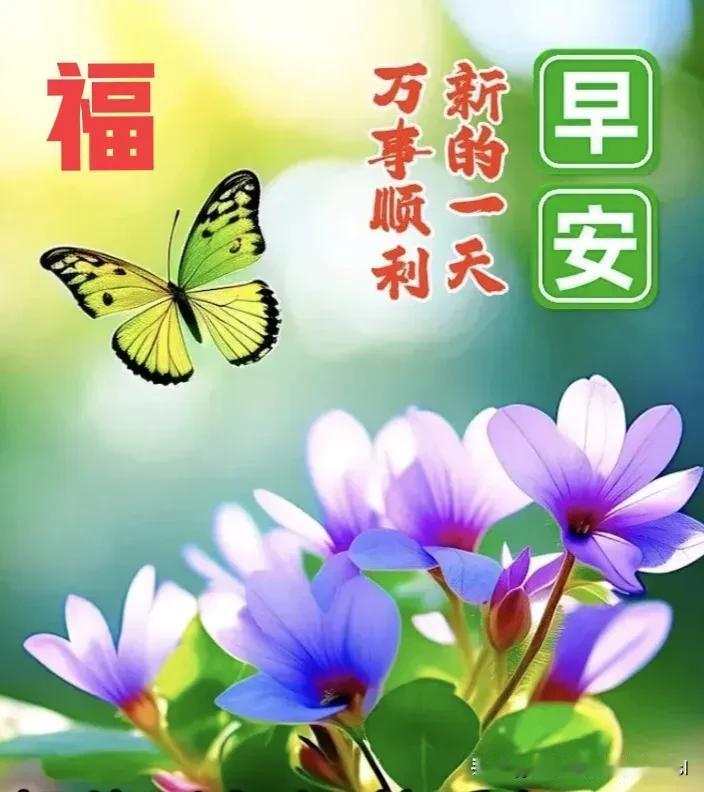 看透不如看淡

失去的永远无法找回，
不要过分追悔；

付出才是最好的拥有，