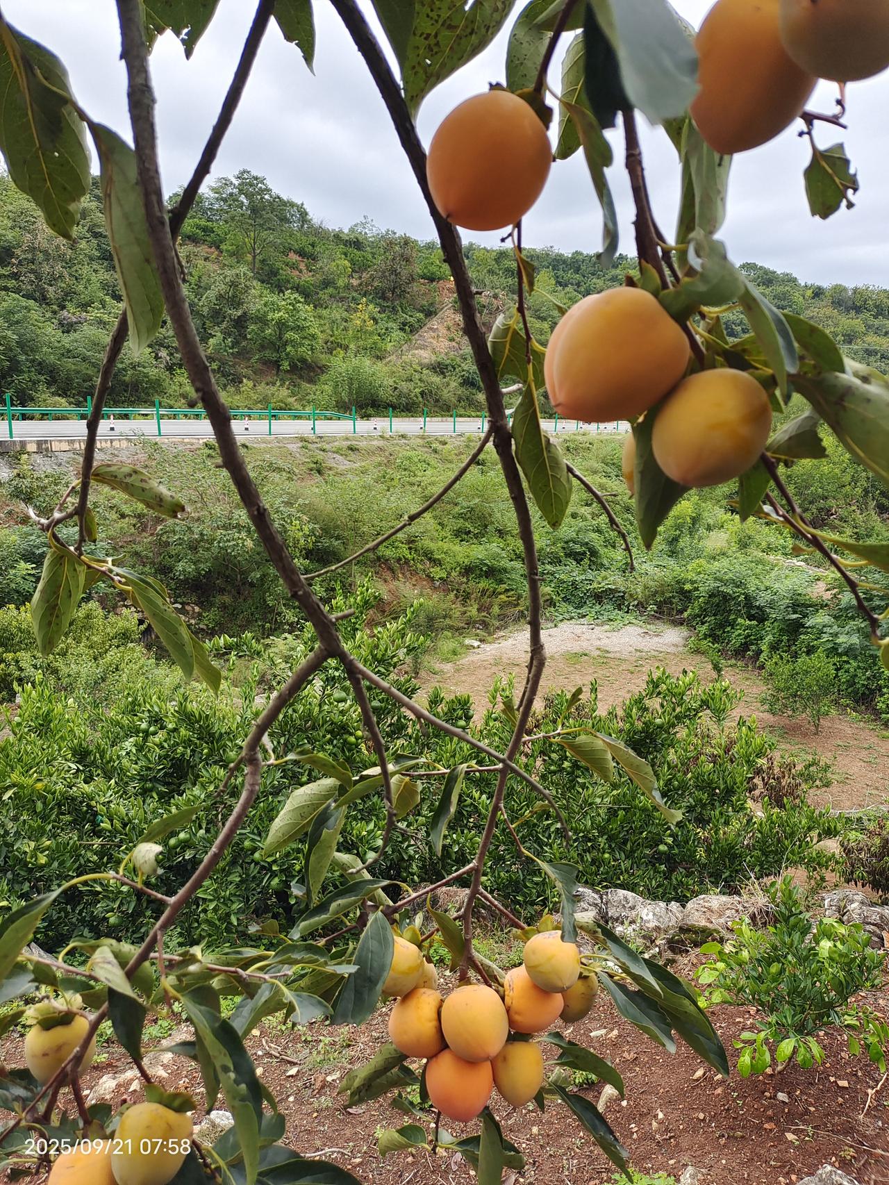 哎呀，看了这个视频，真实感真强，没想到我看了两遍，我是城里人，我去过农村，我深深