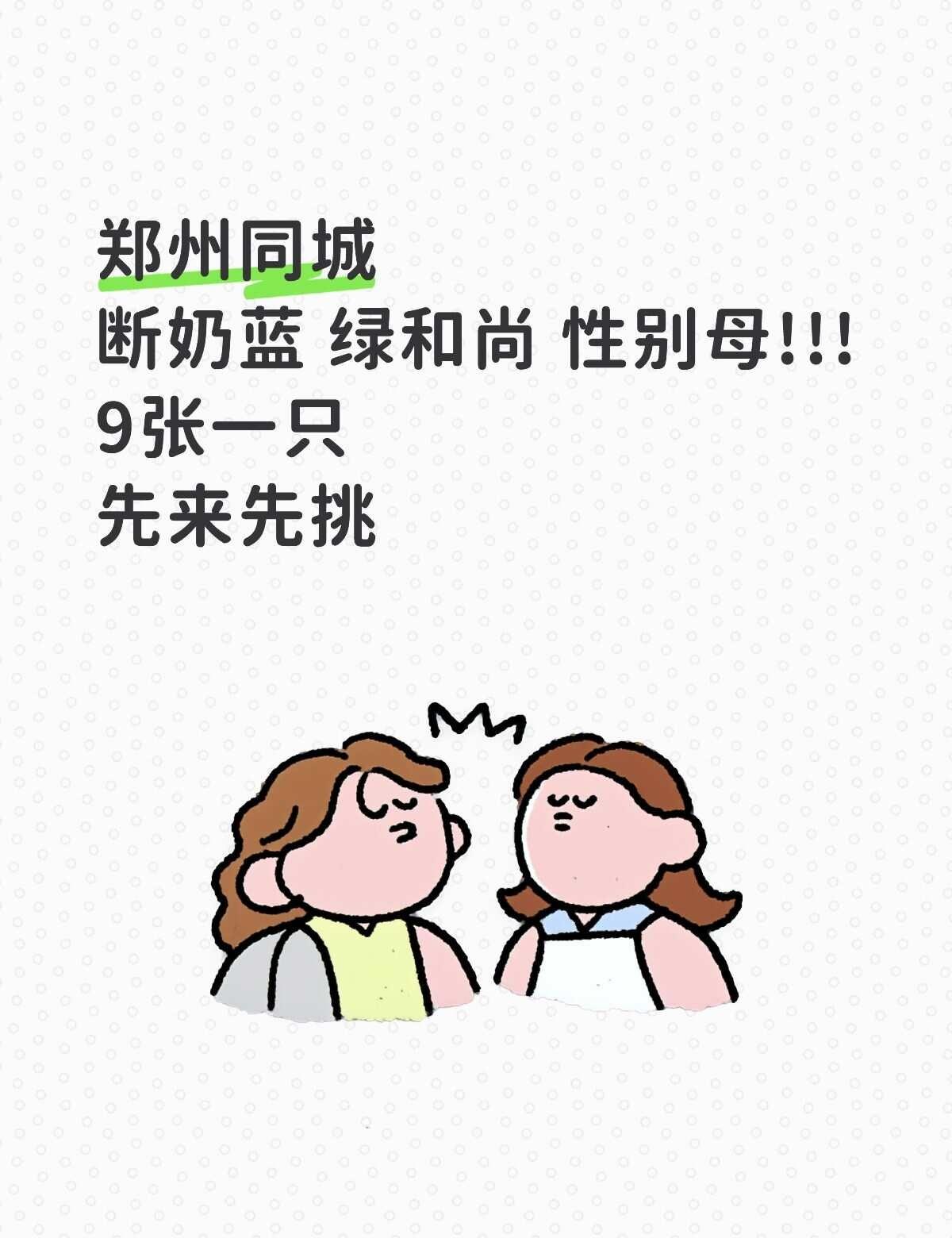 郑州断奶蓝 绿和尚（母）
只能自己提 公➕💰郑州鹦鹉 养鸟 合法饲养 和尚鹦鹉