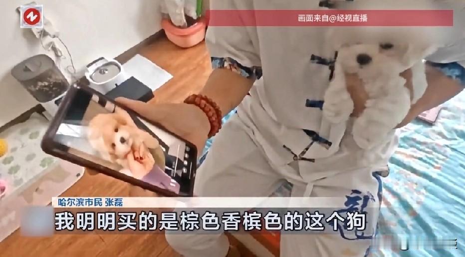 太离谱！哈尔滨，男子看到朋友圈卖棕色小狗，男子花1400元买下，商家一直交代他: