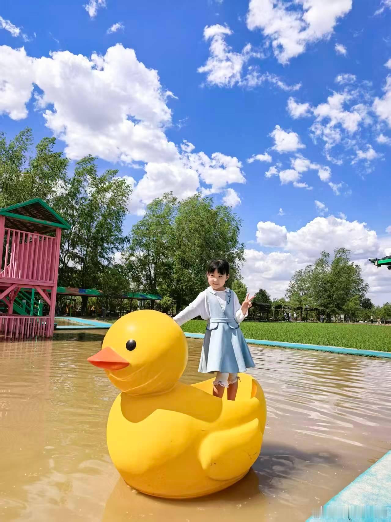 这小失学儿童今天沈阳天气这么好吗