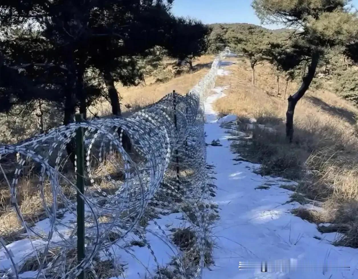 泰山135公里刀片刺绳“锁山”：防火还是防票？

近日，泰山景区火了——但不是因
