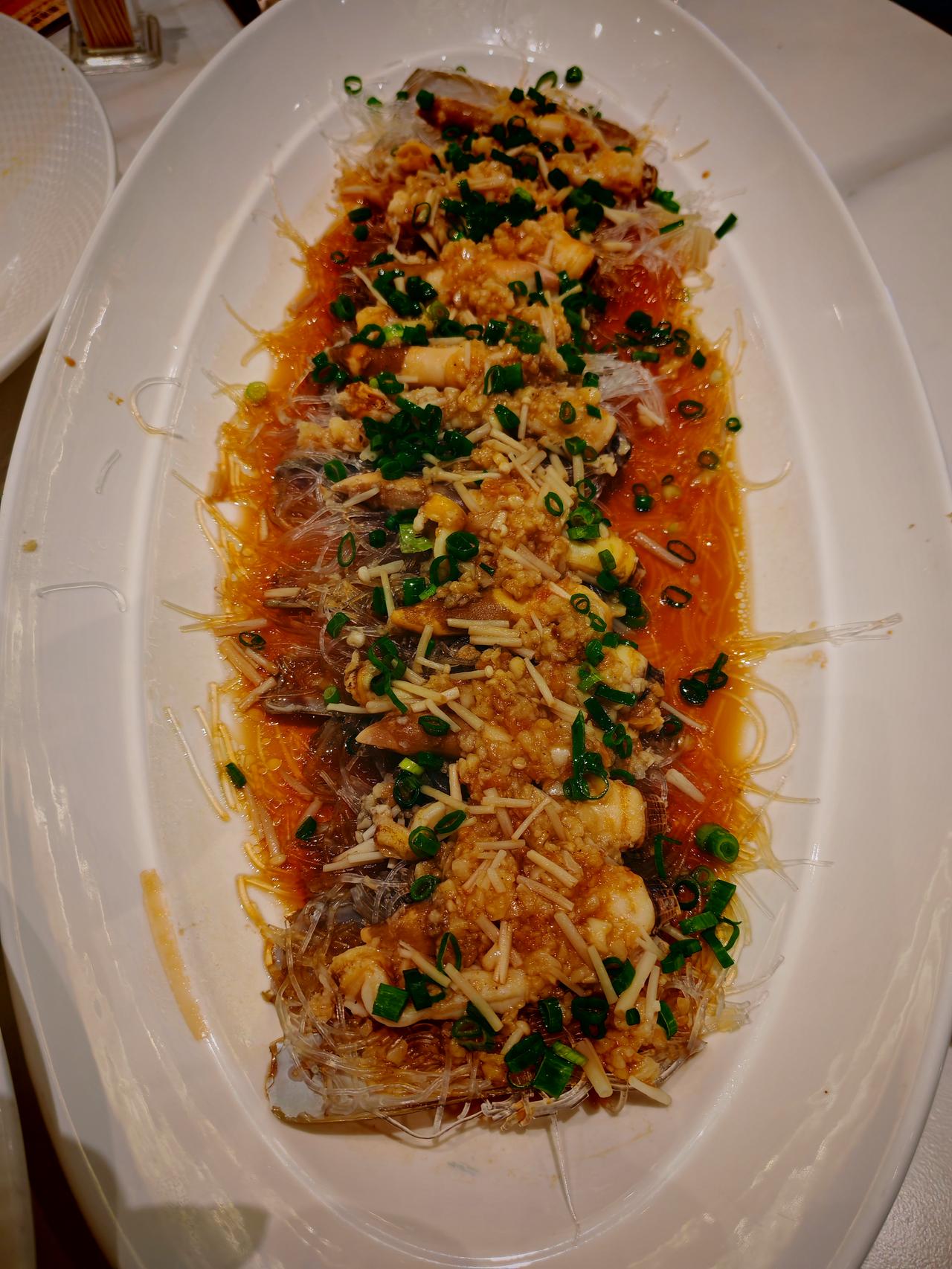 春日生活打卡季