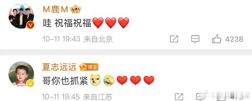 夏志远官宣结婚，鹿晗在评论区送祝福。夏志远回复鹿晗：“哥也抓紧”引发鹿晗粉丝不满