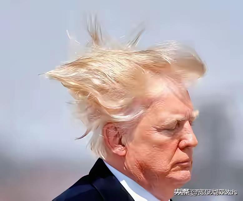 特朗普这个总统把自己折腾成这样子太努力了！
还是把面子看得无比重要！还想在总统任