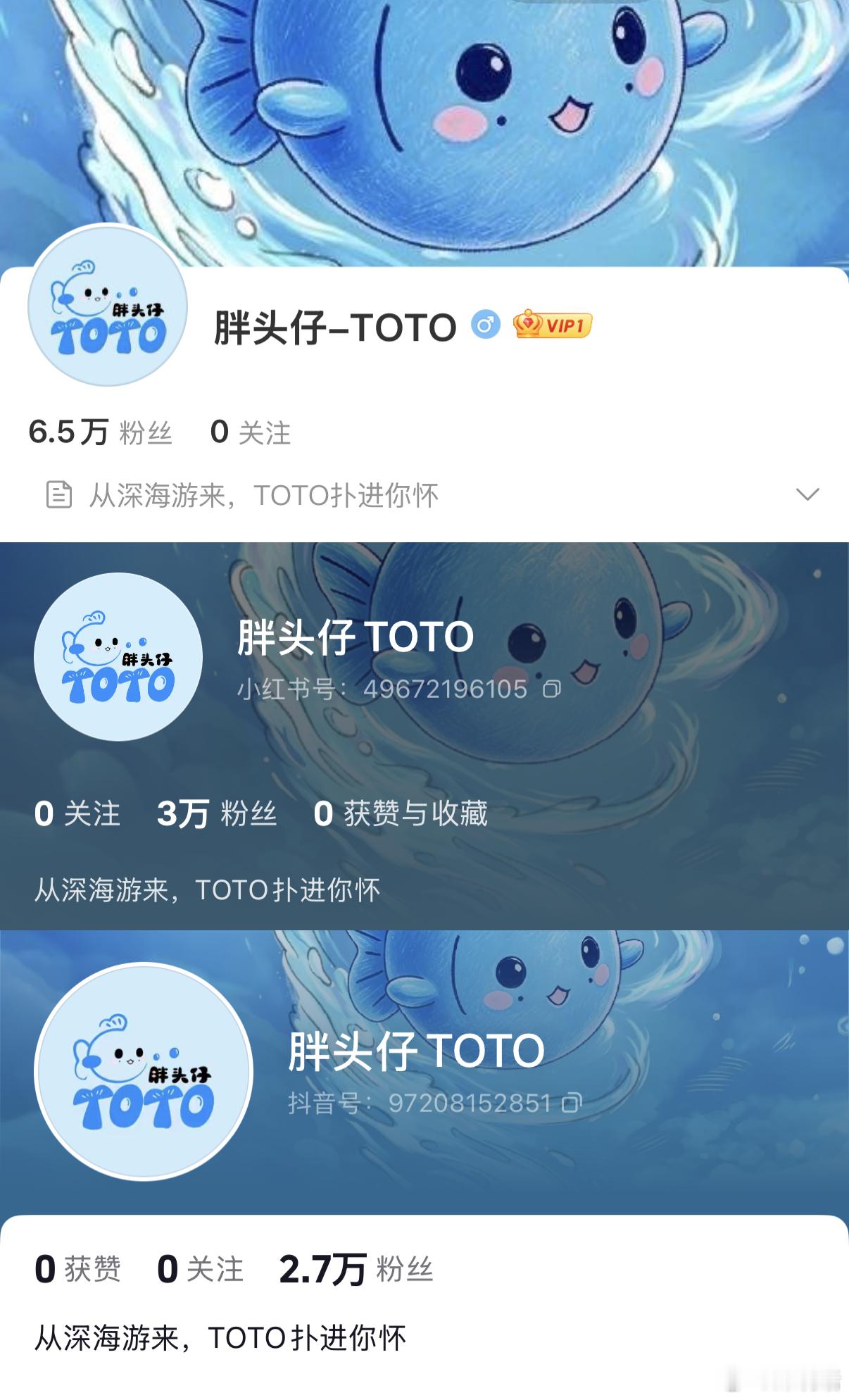 梓渝 胖头仔toto 梓渝个人原创ip吉祥物toto是梓渝送给粉丝YUNI的礼物