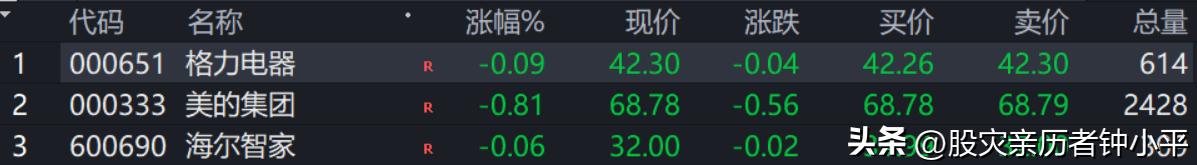 今天格力电器开盘集合竞价成交量太小了。