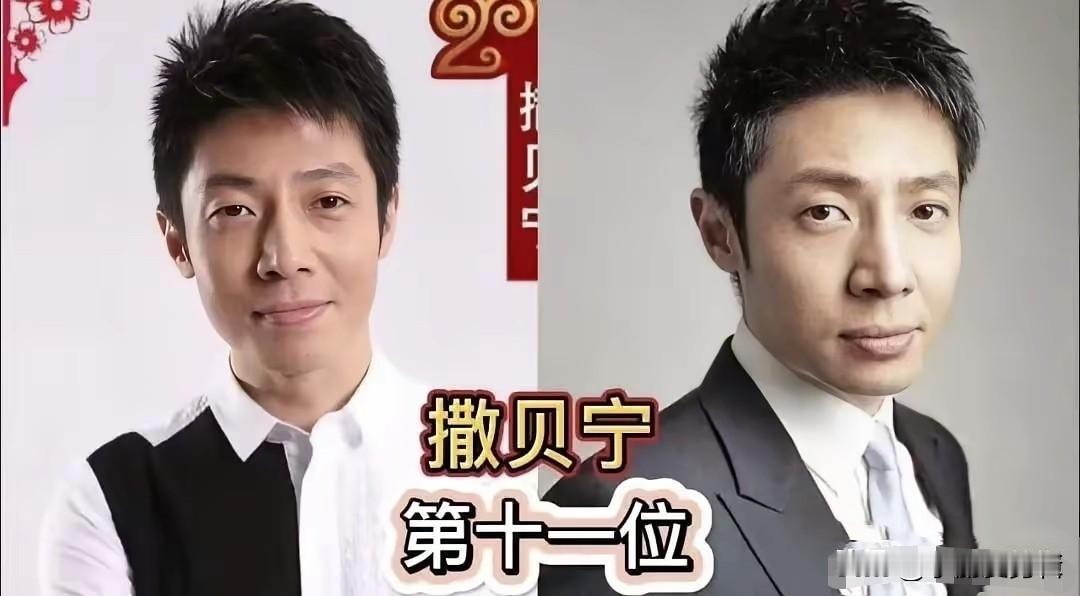 颜值与学识双在线！盘点央视这些帅气才子主持人。
撒贝宁学识出众，风趣睿智，严肃文