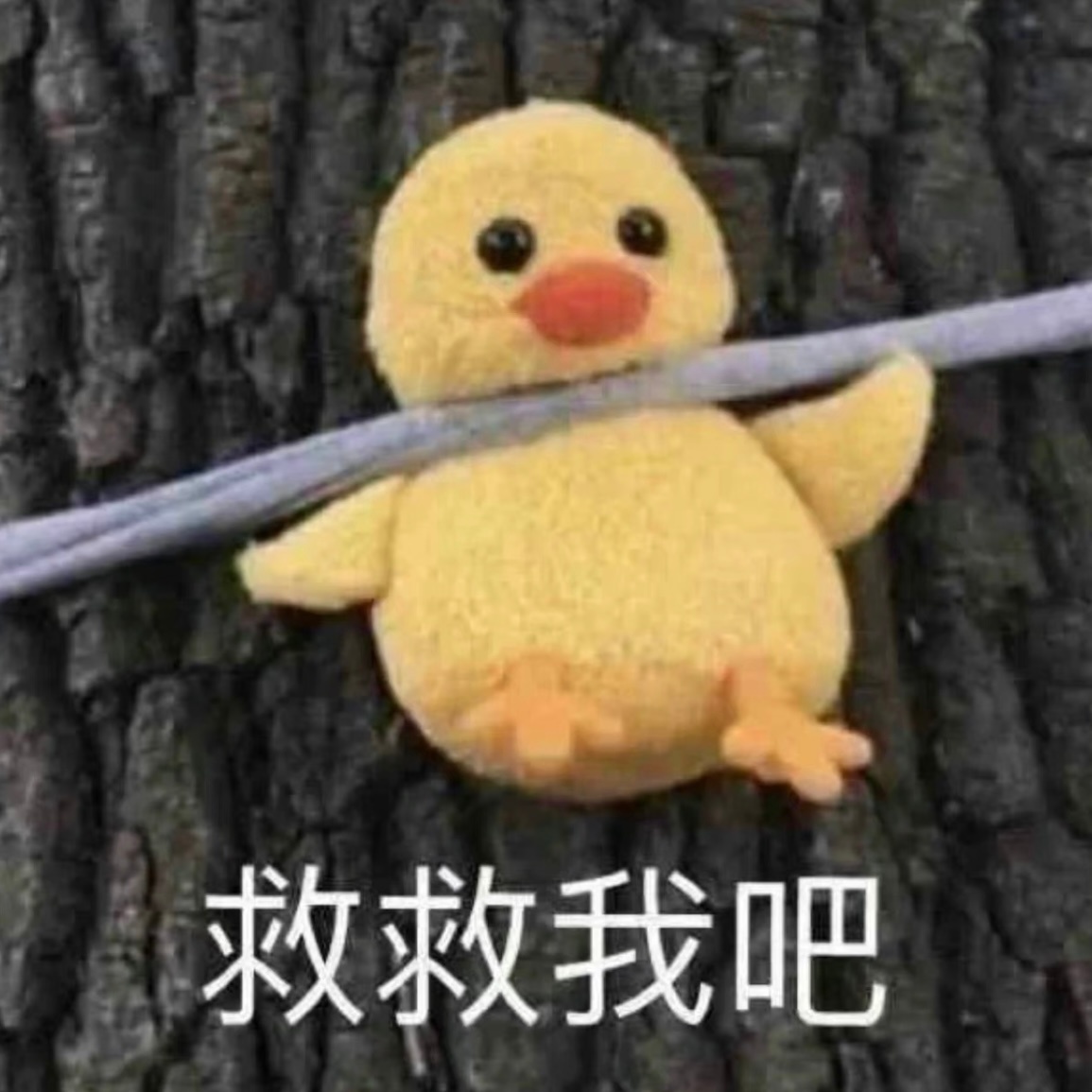 完了，明天就要上班了，完全无法收心啊肿么办 