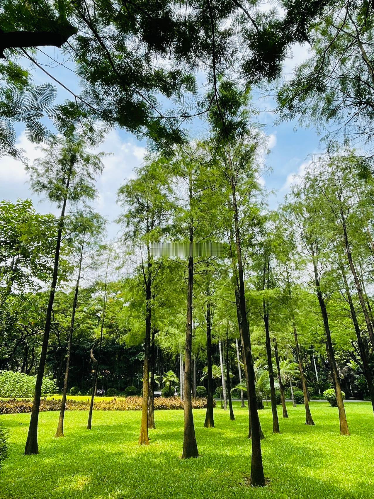 周末约上小伙伴，远离烦嚣，到公园⛲️呼吸一下新鲜空气，放松心情～❤️work h