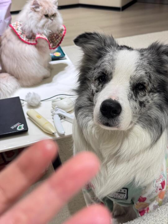 别这么看着我