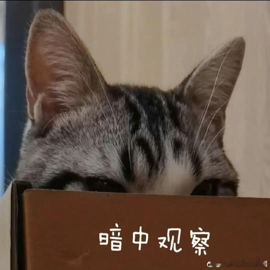 #张子宇制霸韩国内线# 女姚明啊，一己之力带飞国家队！加油未来可期，实力也很强！