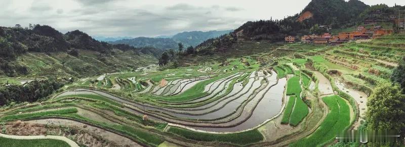 微尘令·梯田调

蹲在虎头山的石坎上，看云从崖边滚下去。我把自己摊开，像一粒浮在