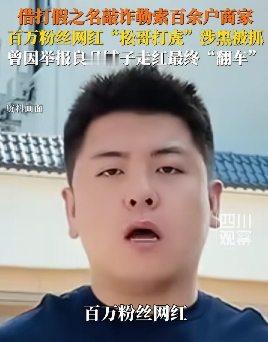 松哥打虎涉黑被抓，铁头一审获刑八年，狂飙兄弟停更近两个月，三个打假网红走到了同一