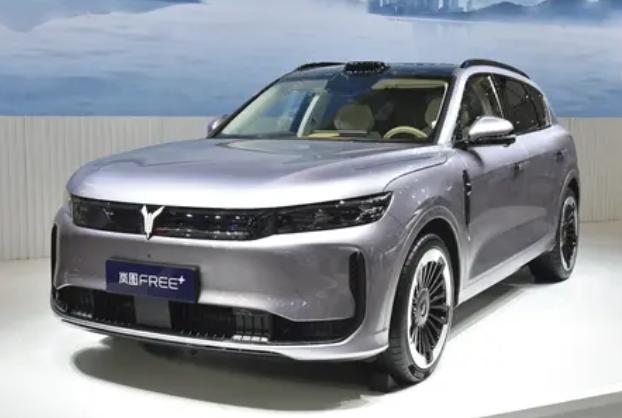 现在 30 万以内的中大型 SUV 早就不是单纯的代步工具了，简直成了 “移动的