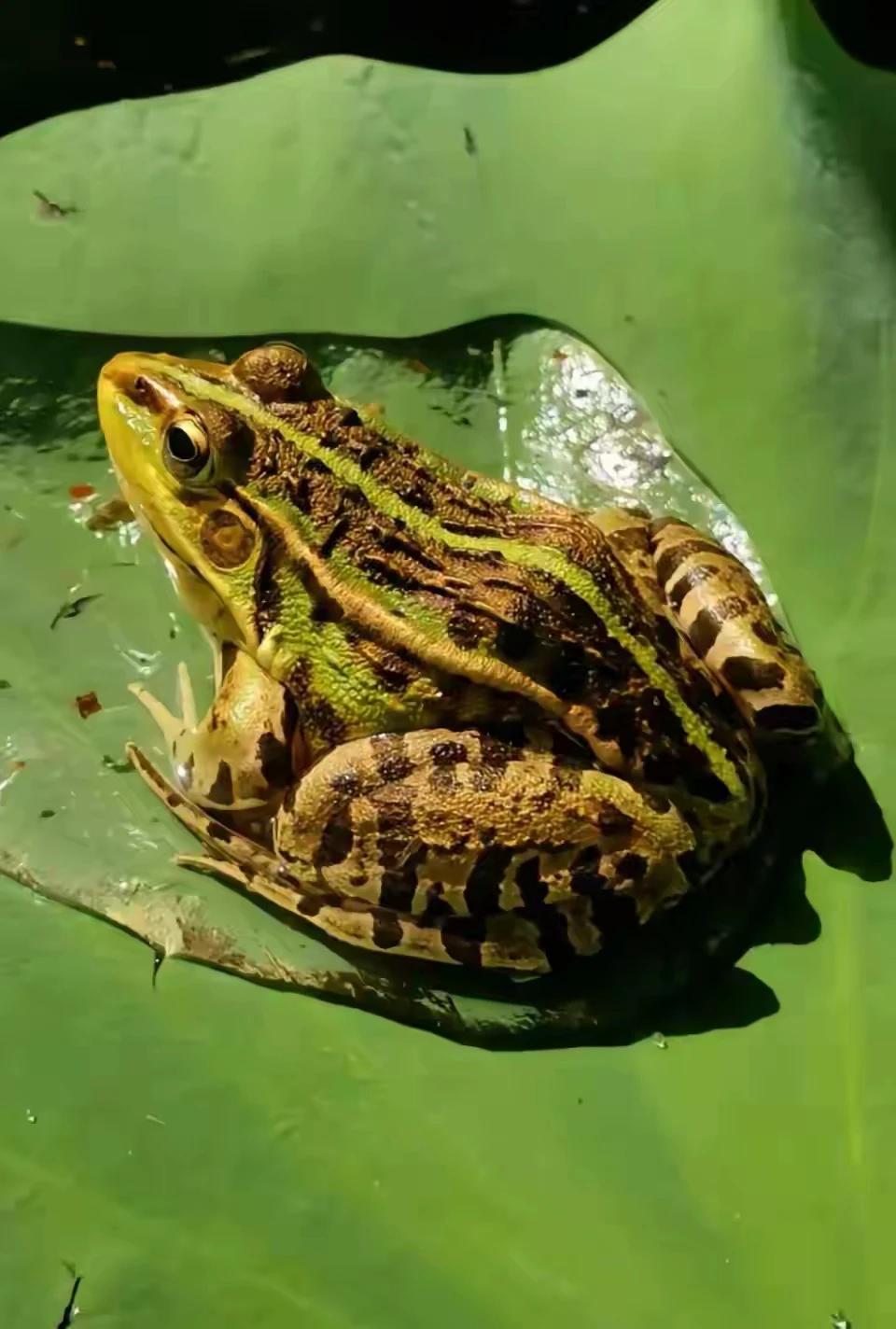 口是心非！！！