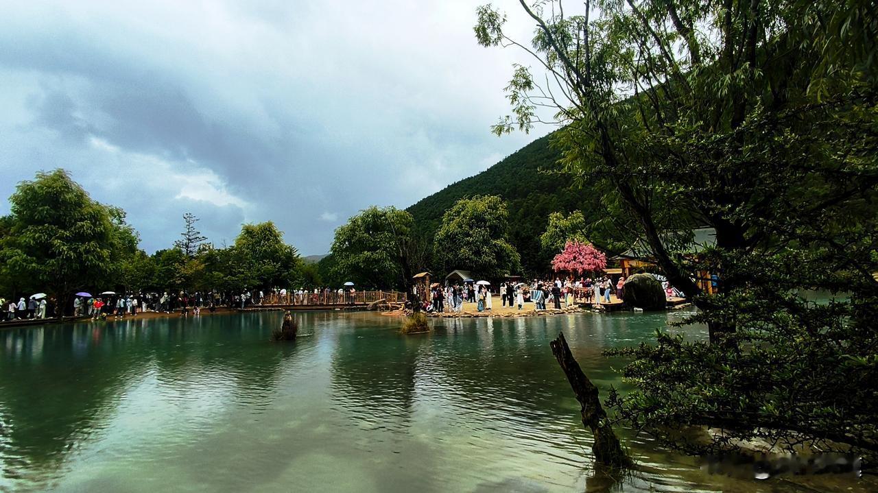 8月10号，台风“白海豚”一闹，南京立马就有了秋天的感觉。那天风雨交加，市民们都