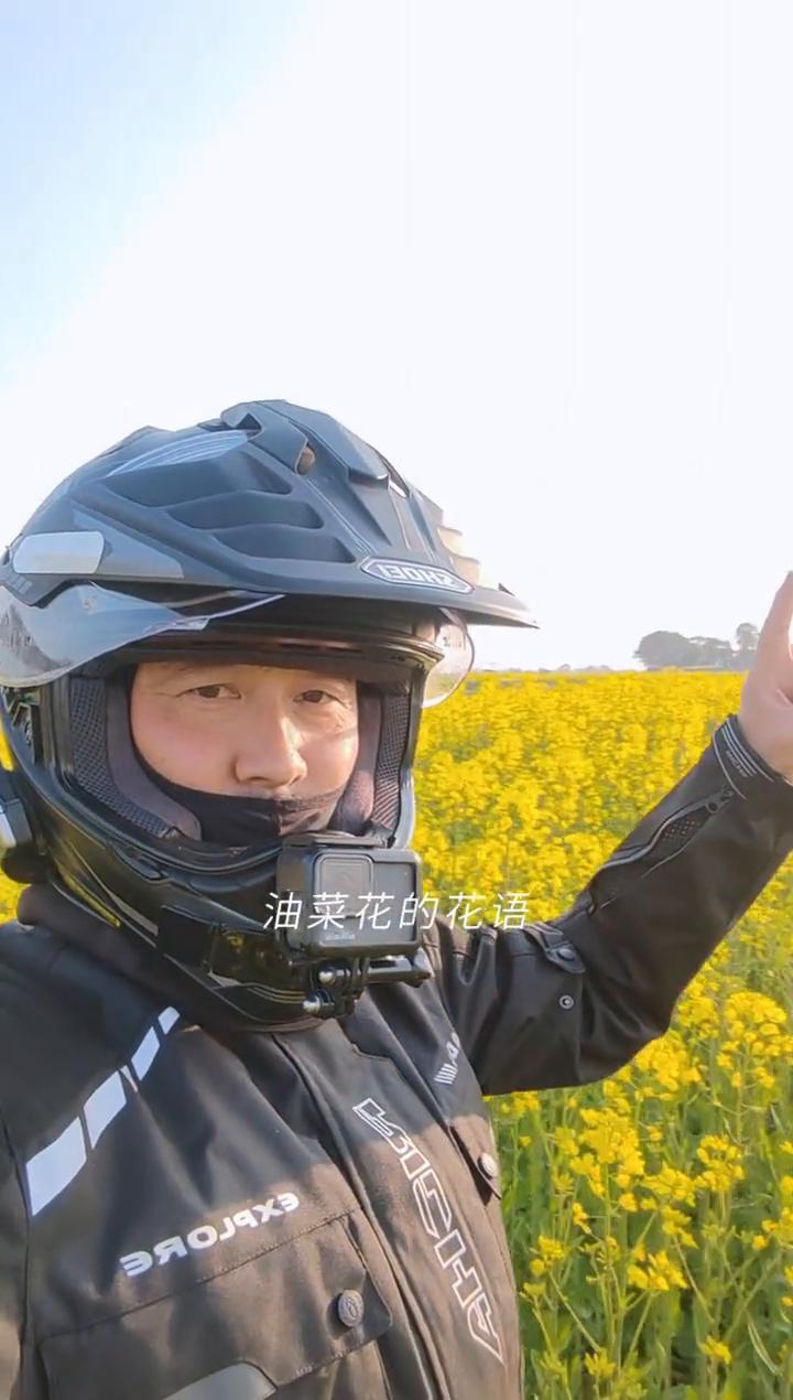 油菜花的花语叫有财发。
有人说油菜花的花语叫有财发。希望在这个春天，你能够像这些