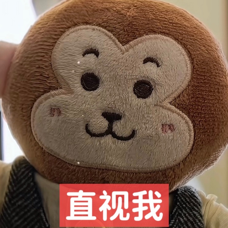 小金牛都跟着出国了 我们猴猴呢 