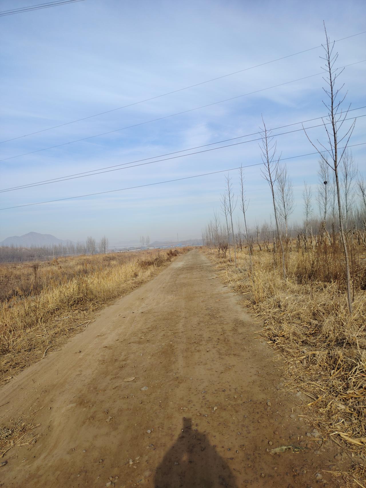 记录我的2026 2026 年，我邂逅了一条静谧的乡间小路。就像网上测试里那张“