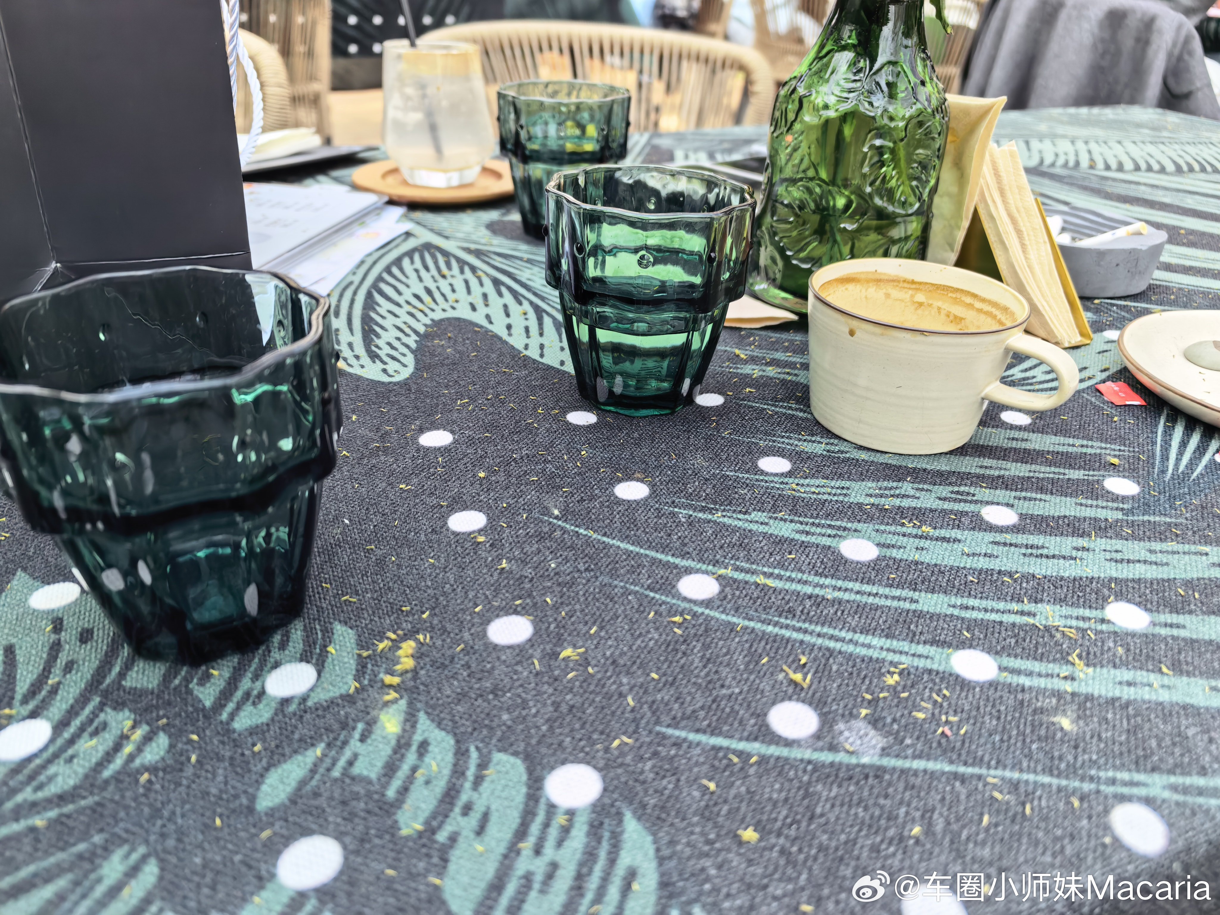 春天这毛絮絮啊