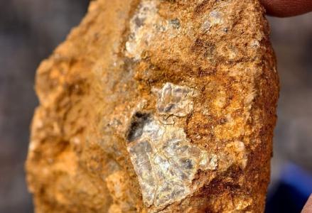 4月16日，辽宁大连庄河大营镇，一名8岁男孩跟着家人上山挖野菜，突然指着地面告诉