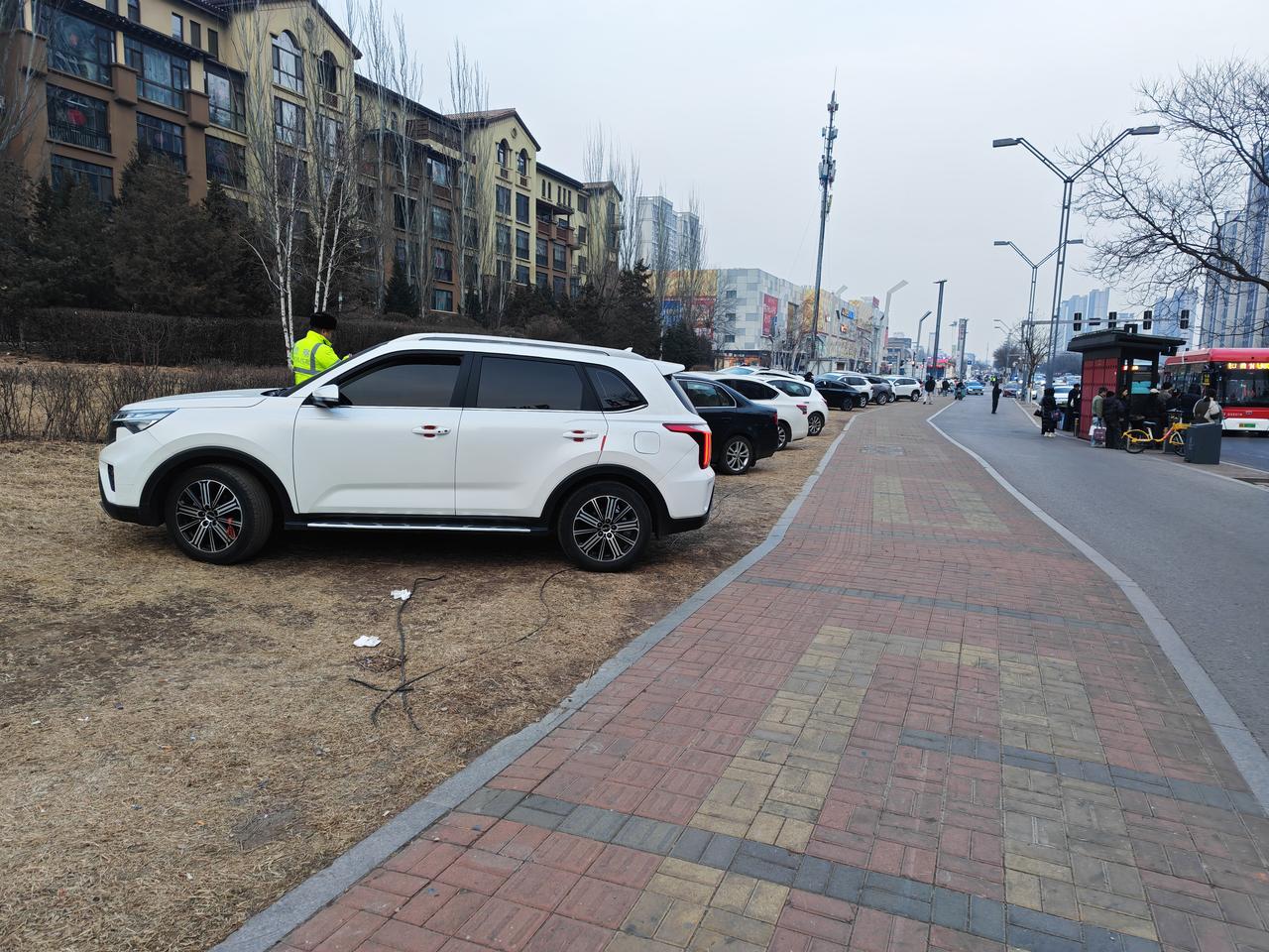 不得不说，这些司机们胆子真大，竟然敢把车停到草坪上，帽子叔叔也很敬业，一顿操作猛