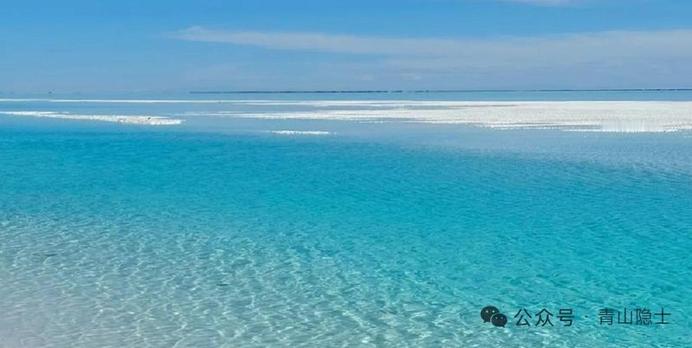 天齐锂业 vs 赣锋锂业 矿端权益产能对比（2026年）
 
核心结论：赣锋锂业