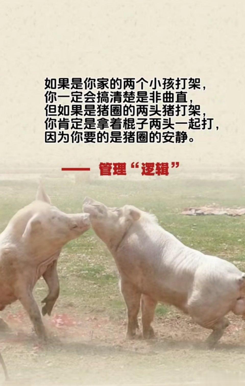 嗯，文明是讲理的。 ​​​