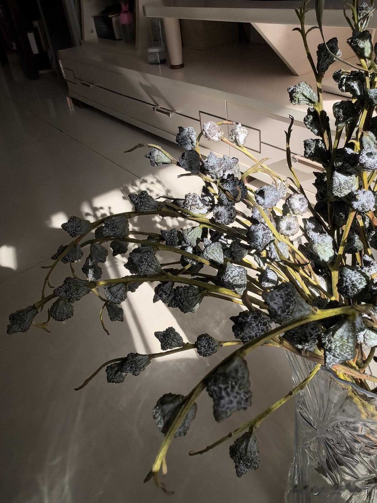 我的2026
一缕光送来一缕香（图一）
一盏灯映照剪纸姑娘（图二）
一本书抚慰了