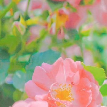 每日一善‎每日一善 ‎阳光‎信用 愿你以快乐为盾，直面各种艰难险阻。我们常常反复