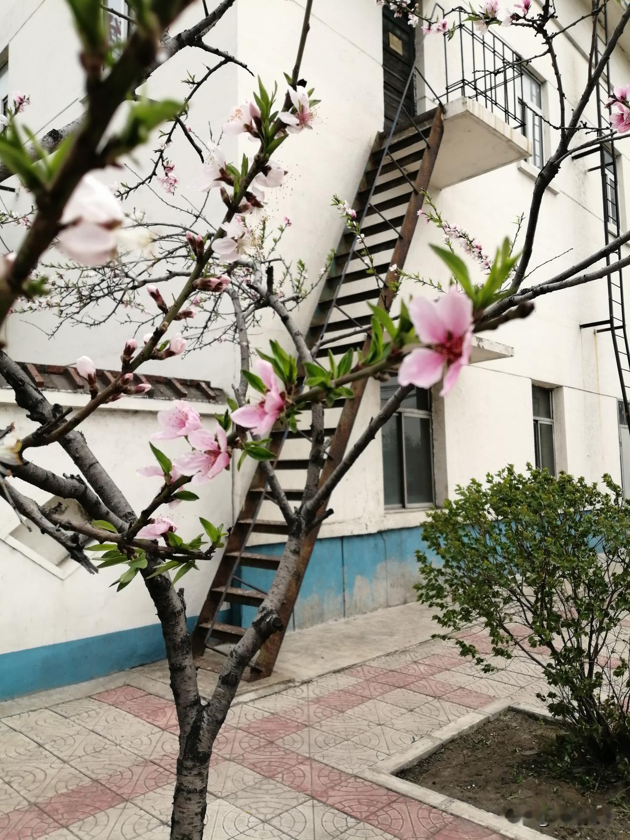 作者加速成长计划为什么说不能跟大龄剩女谈对象? 
网上有个话题：为什么说不能跟大