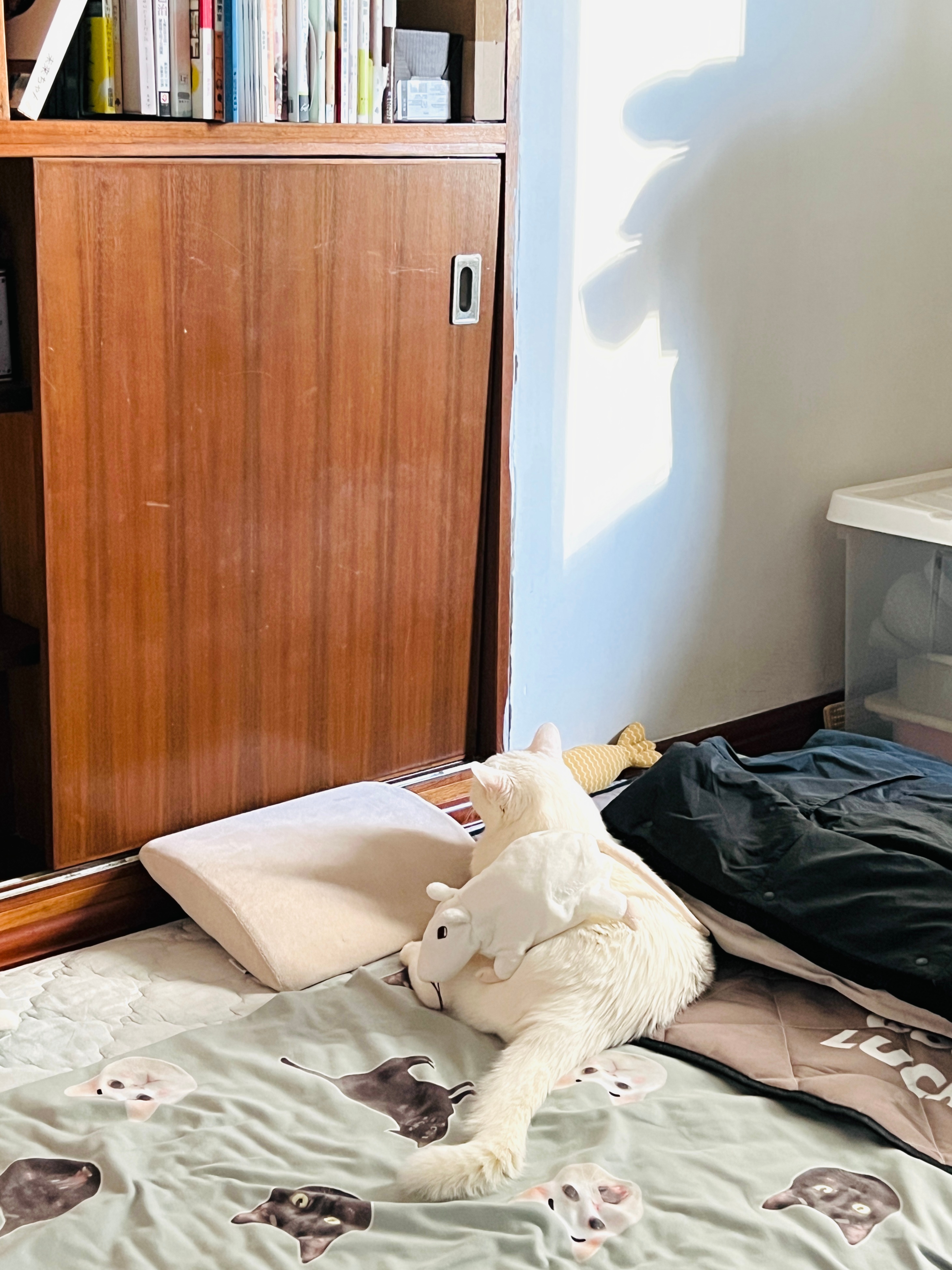 和鼠叔一起冥想～ 