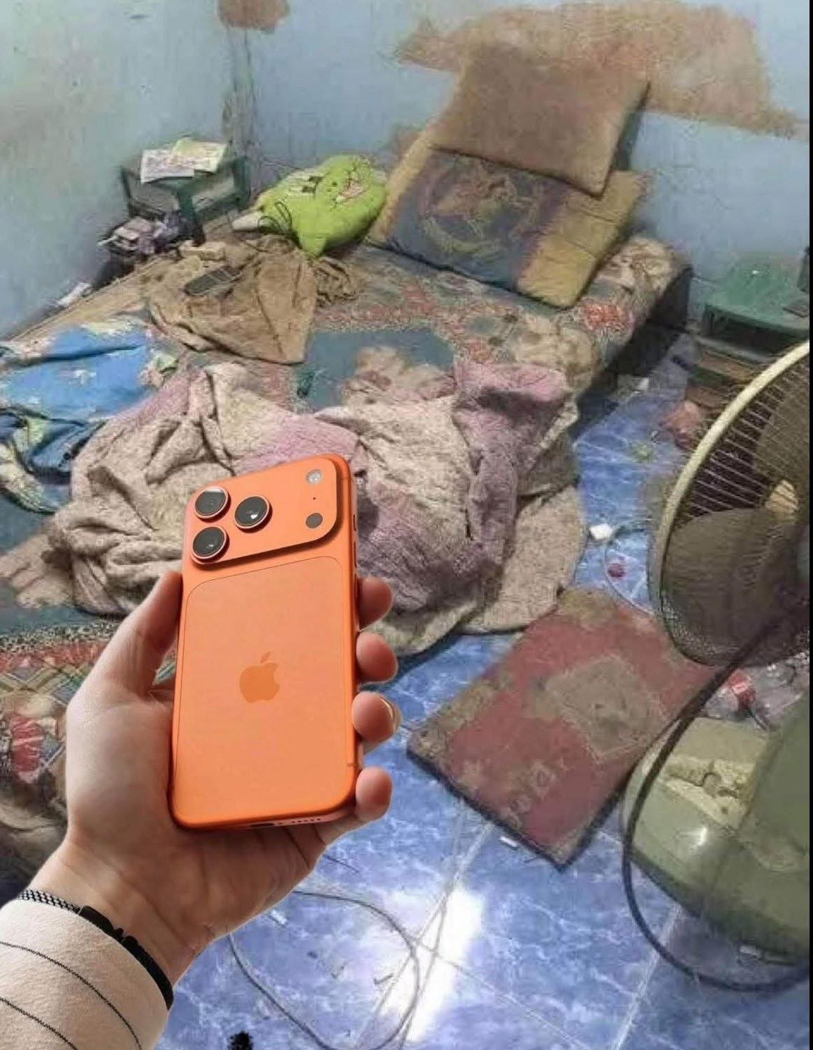 [卡皮巴拉] ​​​