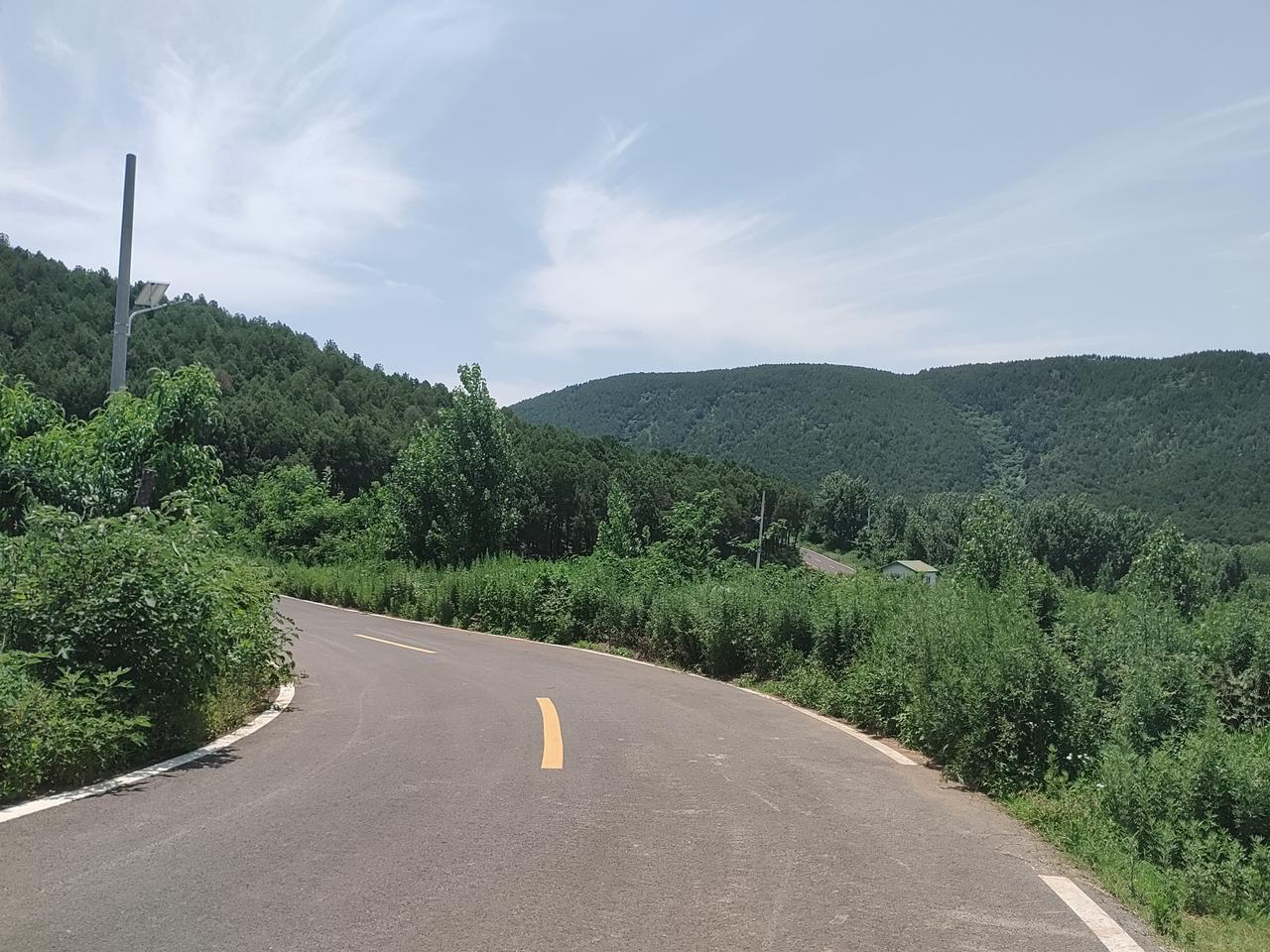 微山县两城镇东边的这片山真美，满山遍野的绿树让人满目一新，曲折崎岖的山路一路而上