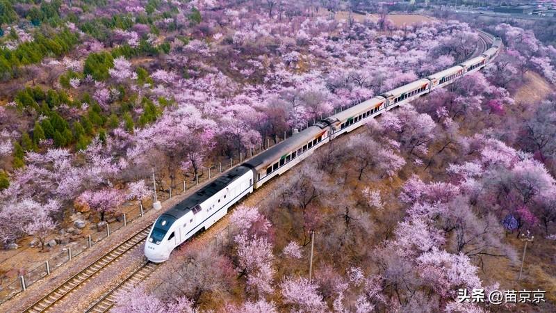 出门全是花，风都是软的，
晒晒太阳，散散步，心情一下子就亮了。
 
不用赶时间，