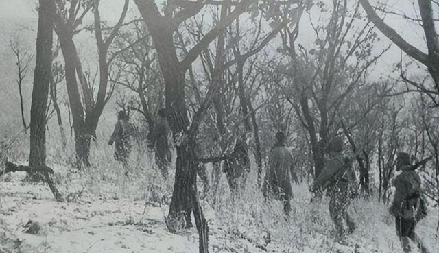 剿匪还得靠演戏，这么大的阵仗，最后居然是靠飞机扮“国民党”骗了土匪。
1946年