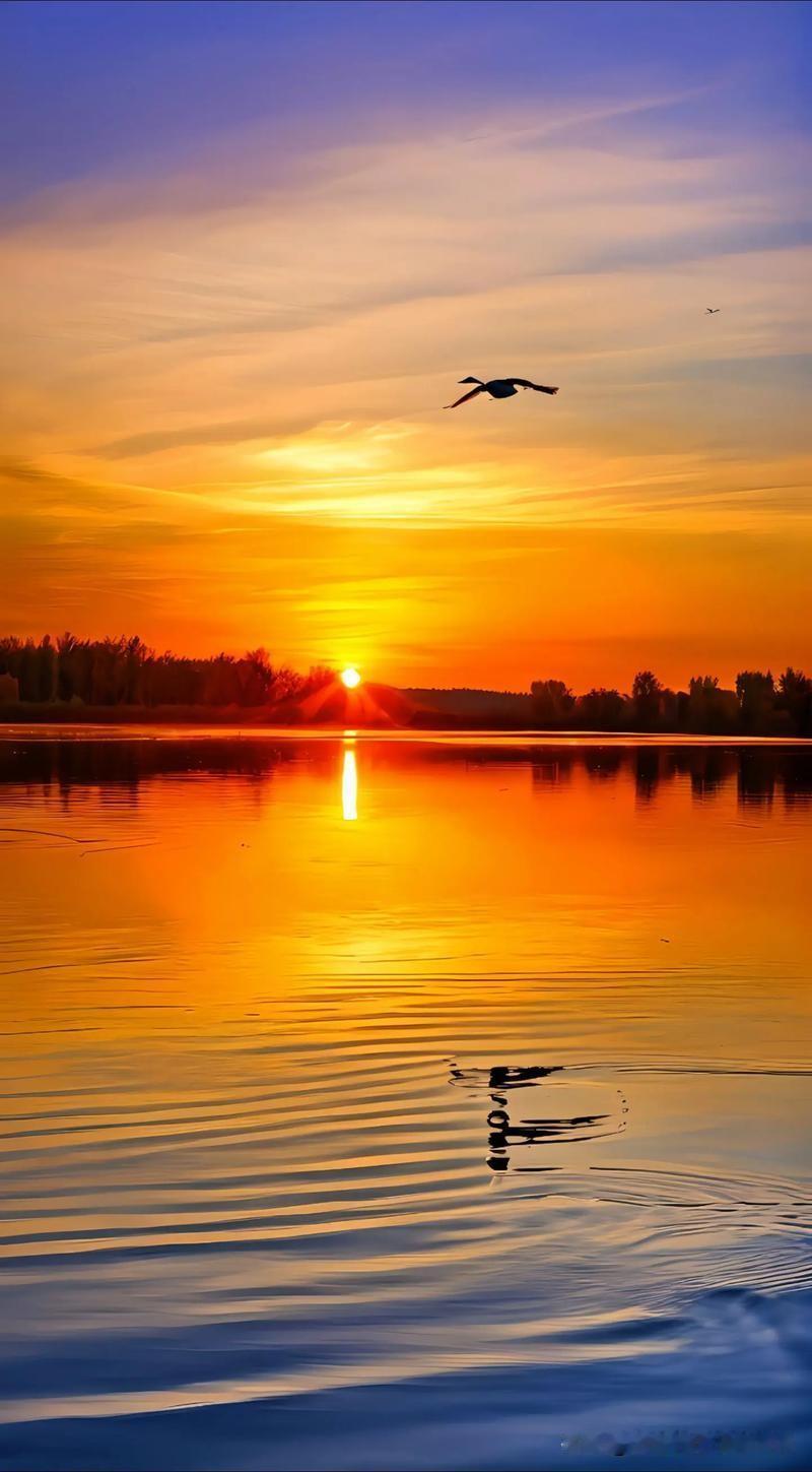 上联：一岭黄昏藏倦鸟
下联：半天晚霞飞孤鹜