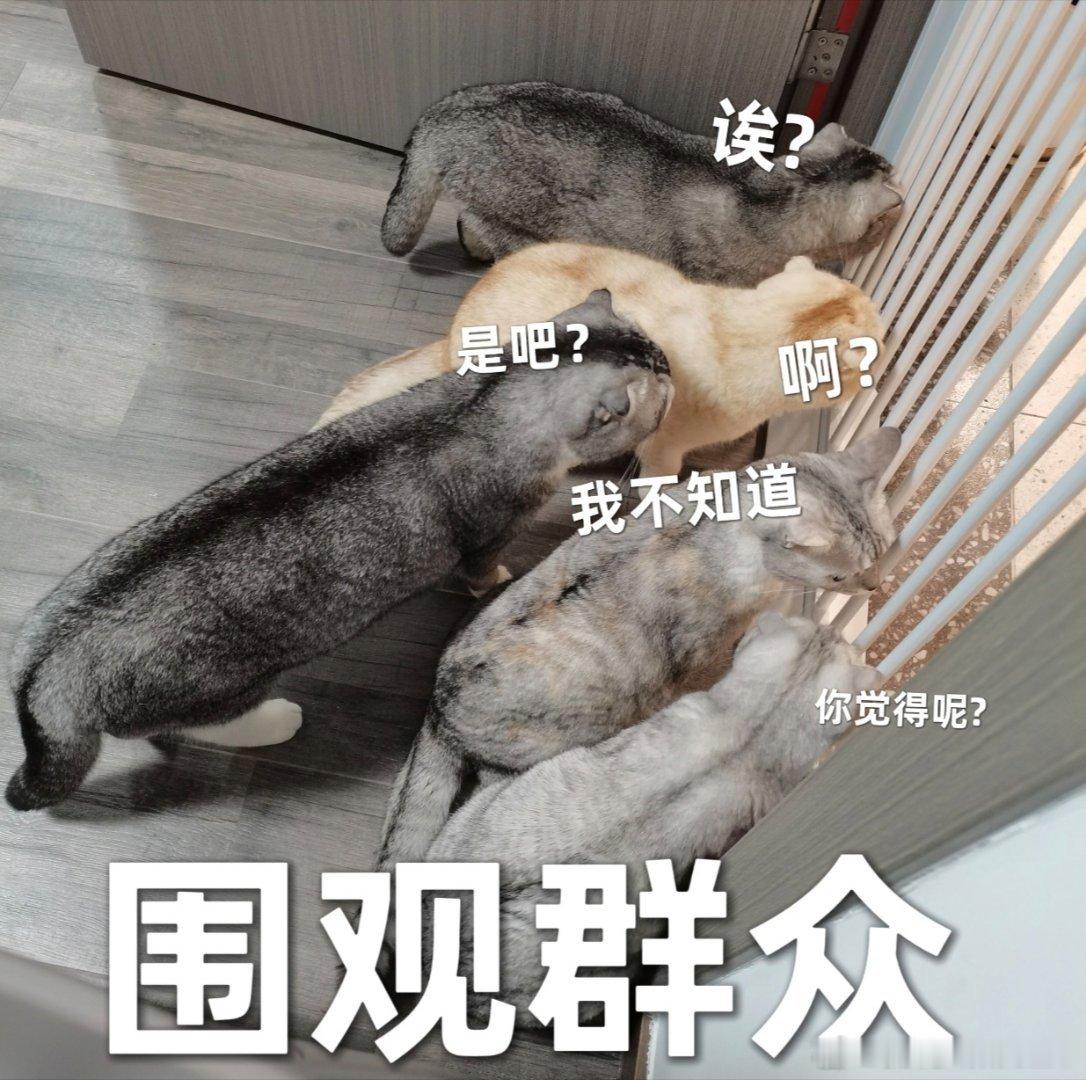 金价猛涨踏空的人哭麻了麦不起来的人没资格哭，只能看着踏空的人哭