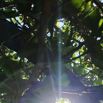 每日一善 ❤️阳光信用❤️ 每日一善 保持一颗善良的心，就是人生幸福的源泉，就是