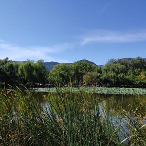 云在青山水在瓶