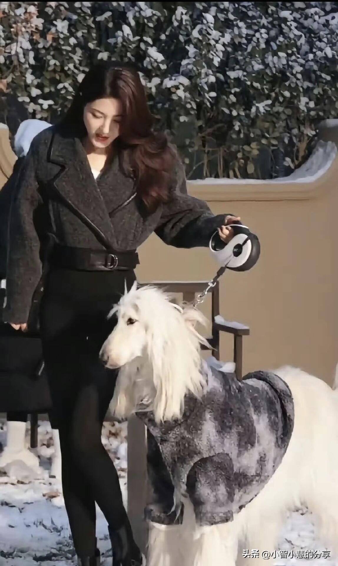 被49岁曾黎的颜值和身材惊艳大了，这哪里像是要50岁的人，看着就像二三十岁。
