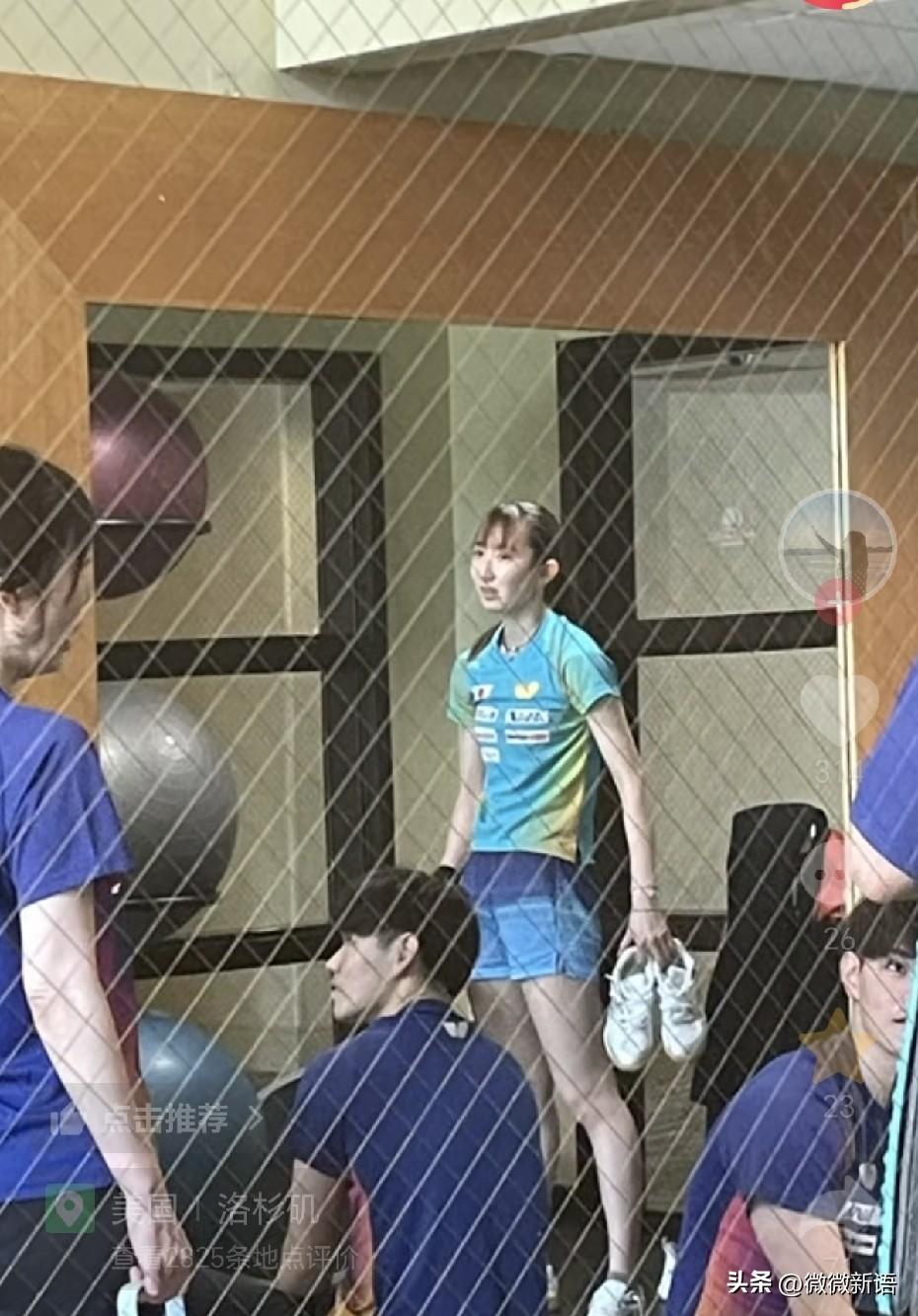 早田希娜也已经抵达洛杉矶。
在刚刚结束的WTT球星挑战赛卢布尔雅那站，早田希娜拿