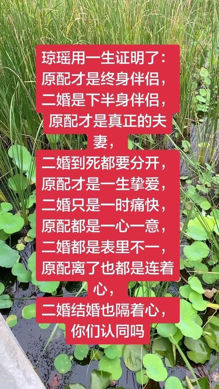 原配之间的默契，是旁人很难复制的。从青涩到成熟，共同经历过生活的鸡零狗碎，也一起