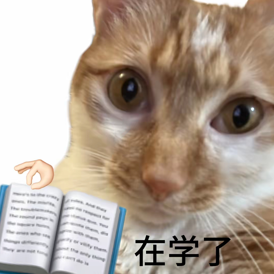 此刻乐粉be like 