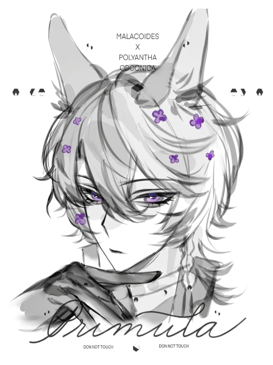 我下海了请多多支持