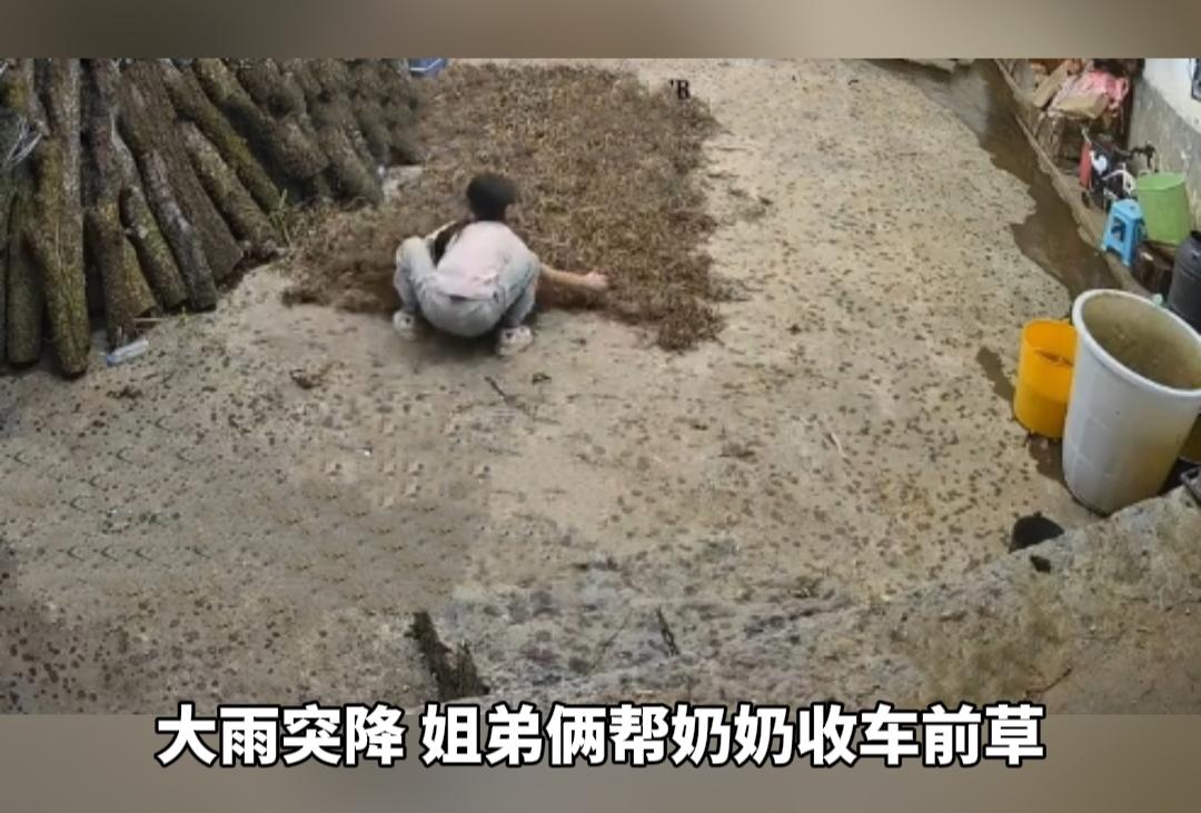 突降一场大雨，姐弟俩一个举动，让人心里暖暖的。
 
近日在云南曲靖，家里大人外出
