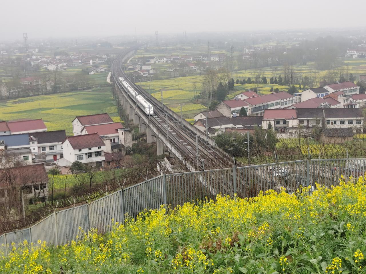 南郑岳岭村高铁穿越花海
