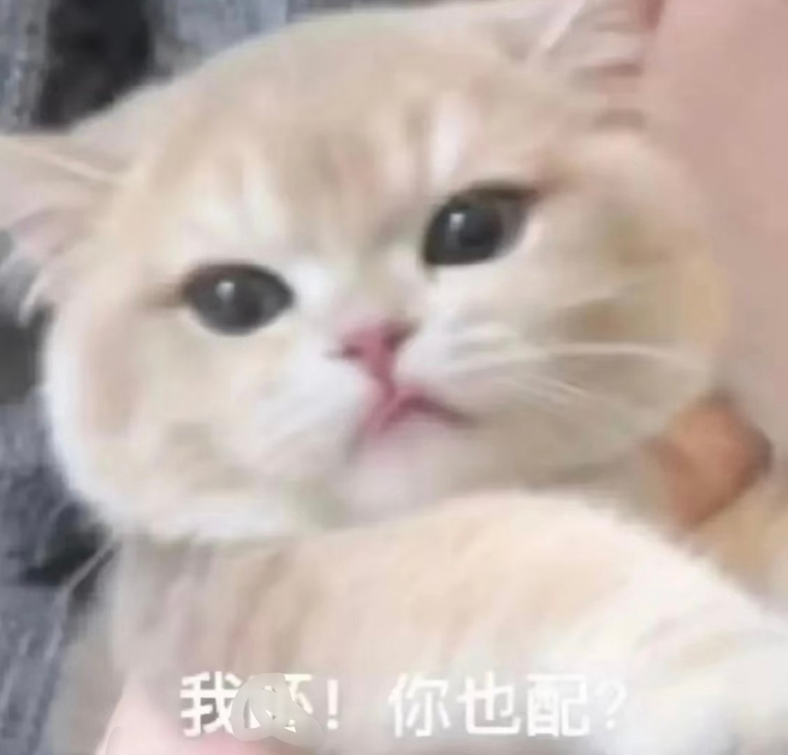 “兲”这个群体我感觉在哪是最低等的存在，随便出去逛逛就能看到，六年没同台、没同框