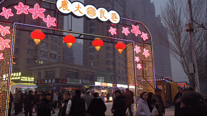 哈尔滨又添一个新夜市！-g